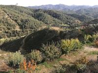 land for sale agios epifanios oreinis nicosia 1380644 image 16700656 land for sale agios epifanios oreinis nicosia 1380644 image 16700656