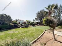 3 bedroom detached house for sale argaka paphos 8497154 image 15317177