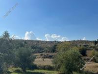 land for sale agrokipia nicosia 946384 image 6983101