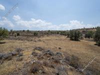 land for sale agrokipia nicosia 946384 image 6983111