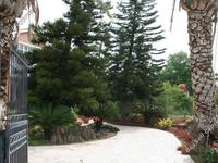 4 bedroom detached house for sale geroskipou paphos 227584 image 235679