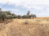 land for sale astromeritis nicosia 946205 image 6815654