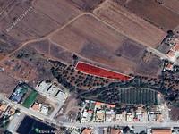 land for sale astromeritis nicosia 946205 image 7339490