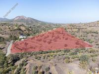 land for sale xyliatos nicosia 967415 image 3005399