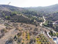 land for sale xyliatos nicosia 967415 image 3005401