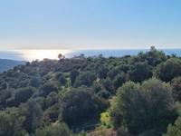 4 bedroom detached house for sale secret valley paphos 8629045 image 16028589