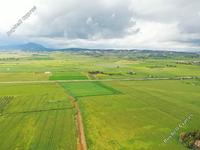 land for sale softades larnaca 8691745 image 16149186