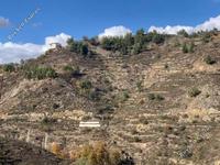 land for sale palaichori morfou nicosia 826575 image 3004149
