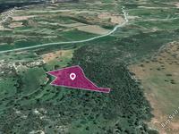 land for sale agios theodoros larnacas larnaca 1211985 image 2677245