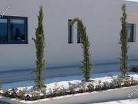 2 bedroom bungalow for rent agios tychonas limassol 8963206 image 17825009