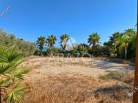 4 bedroom detached house for sale agia thekla famagusta 1236406 image 16272535
