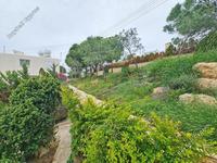 6 bedroom detached house for sale sea caves peyia paphos 1084606 image 1283353