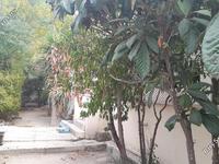 3 bedroom detached house for sale nicosia municipality nicosia 1060626 image 16178018
