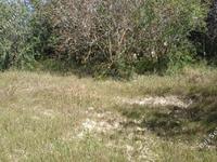 land for sale armou paphos 7535336 image 9475583
