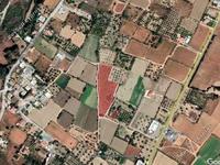 land for sale pera orinis nicosia 944546 image 3002618 land for sale pera orinis nicosia 944546 image 3002618