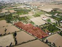 land for sale pera orinis nicosia 944546 image 3002624 land for sale pera orinis nicosia 944546 image 3002624