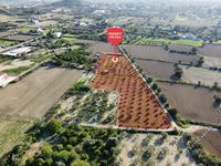 land for sale pera orinis nicosia 944546 image 3002626 land for sale pera orinis nicosia 944546 image 3002626