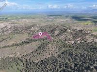 land for sale agia marina xyliatou nicosia 8249166 image 13868325