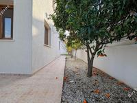 3 bedroom detached house for sale tsada paphos 8113566 image 13278974 3 bedroom detached house for sale tsada paphos 8113566 image 13278974