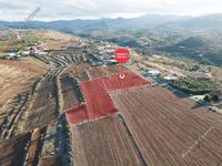 land for sale vyzakia nicosia 946186 image 3410962