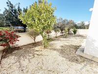 3 bedroom detached house for rent konia paphos 8330896 image 14297828