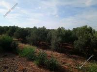 land for sale astromeritis nicosia 946417 image 3353335
