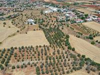 land for sale astromeritis nicosia 946417 image 3353341
