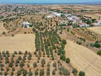 land for sale astromeritis nicosia 946417 image 3353349