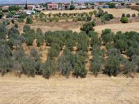 land for sale astromeritis nicosia 946417 image 3353352