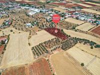land for sale astromeritis nicosia 946417 image 3353358