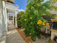3 bedroom detached house for sale saint george peyia paphos 7727027 image 10116581