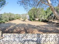 4 bedroom detached house for sale paralimni famagusta 695127 image 497815
