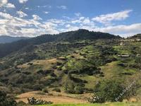 land for sale pigenia nicosia 946127 image 3346312