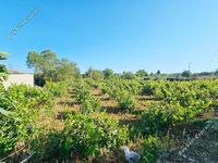 land for sale ineia paphos 8957327 image 17771939 land for sale ineia paphos 8957327 image 17771939