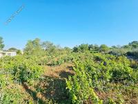land for sale ineia paphos 8957327 image 17771940 land for sale ineia paphos 8957327 image 17771940