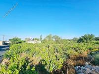 land for sale ineia paphos 8957327 image 17771941 land for sale ineia paphos 8957327 image 17771941
