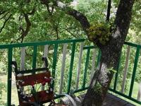 studio hotel apartments sold kato platres limassol 1838827 image 6556501