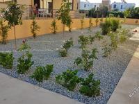 4 bedroom detached house for sale chlorakas paphos 1420457 image 2724396