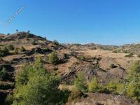 land for sale pigenia nicosia 1077567 image 2999142