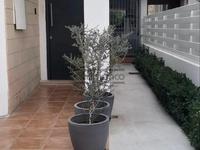 3 bedroom detached house for sale egkomi nicosia 8748677 image 16467603