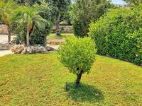 4 bedroom detached house for sale argaka paphos 833318 image 686839 4 bedroom detached house for sale argaka paphos 833318 image 686839