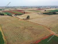 land for sale avgorou famagusta 1054418 image 16512118