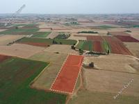 land for sale avgorou famagusta 1054418 image 16512121