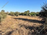 land for sale pera orinis nicosia 8793428 image 16700736 land for sale pera orinis nicosia 8793428 image 16700736