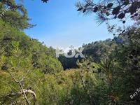 plot for sale pano platres limassol 8940928 image 17832120 plot for sale pano platres limassol 8940928 image 17832120