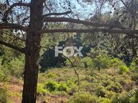 plot for sale pano platres limassol 8940928 image 17832125 plot for sale pano platres limassol 8940928 image 17832125