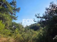 plot for sale pano platres limassol 8940928 image 17832128 plot for sale pano platres limassol 8940928 image 17832128