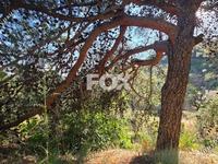 plot for sale pano platres limassol 8940928 image 17832130 plot for sale pano platres limassol 8940928 image 17832130