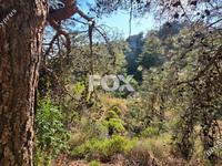 plot for sale pano platres limassol 8940928 image 17832133 plot for sale pano platres limassol 8940928 image 17832133