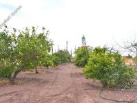 3 bedroom bungalow for sale sea caves peyia paphos 7963738 image 11446887